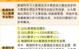 怎样查询大数据,高效处理与剖析海量数据的诀窍