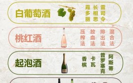 linux装置wine,什么是Wine？