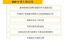 snp数据库,基因多态性的宝库