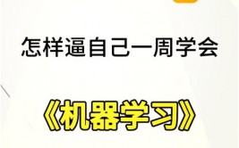 开源机器学习渠道,推进人工智能开展的柱石