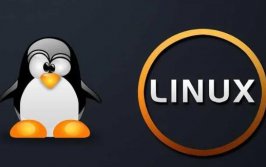 操作体系linux,什么是Linux？