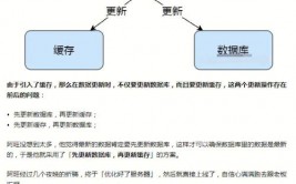 更新数据库,进步数据办理功率的要害过程