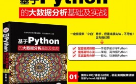 python大数据处理,python编程题经典100例