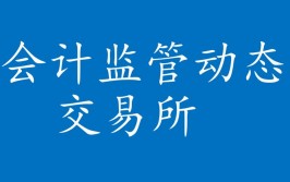 大数据新闻事例,数据要素商场建造的先行者