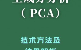 r言语pca,原理、过程与实例解析