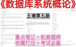 数据库网课,学习途径与资源引荐