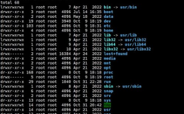 常见的linux指令,Linux常用指令详解——把握这些，轻松驾御Linux体系