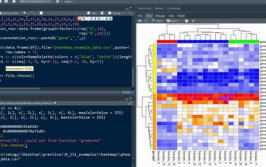 r言语热图,从根底到高档运用
