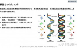 美ai综合征,打破与应战