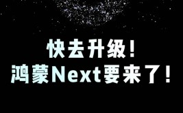 360鸿蒙,360织语纯血鸿蒙版正式上架，助力企业作业智能化转型