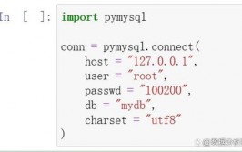 python导入数据库,python导入数据集csv