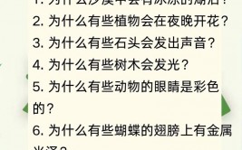 浮屠mysql无法发动,浮屠面板MySQL无法发动的解决方法详解