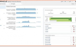 mysql监控,MySQL监控的重要性