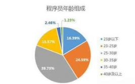 大数据工作远景怎么,大数据工作远景概述