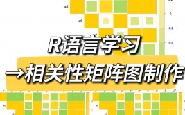 r言语cor,深化了解相联系数核算