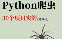 python爬虫有什么用,Python爬虫的广泛运用与价值