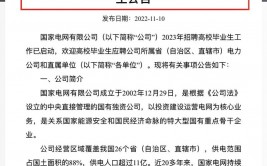 国家电网大数据中心招聘