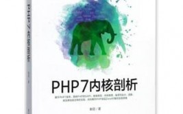 php缺陷,揭秘其局限性