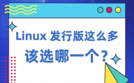 linux哪个体系好用,Linux体系哪个好用？深度解析不同发行版的优缺点