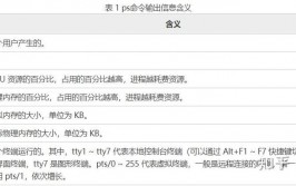 linux检查正在运转的进程,什么是进程？