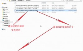 数据库文件后缀,类型、效果与辨认