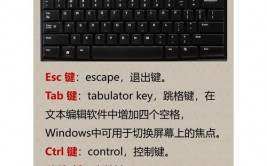 windows查找快捷键,提高功率的得力帮手