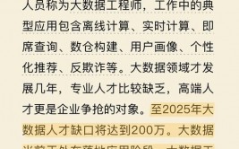 大数据研制工程师,引领数据年代的立异前锋