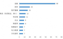 我国区块链公司排行,职业领军者与新兴力量