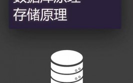 数据库算法,原理、使用与优化