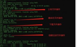 linux检查ftp服务,Linux下检查FTP服务状况详解