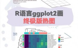 r言语lapply,高效处理列表的利器