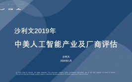 ai归纳鉴定,多维度解析AI技能的使用与开展