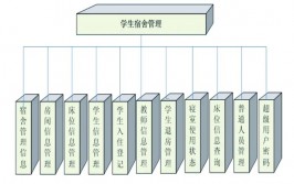 学生信息管理体系数据库规划