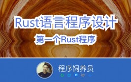 rust教程,rust教程 从入门到通晓