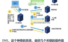 linux改写dns缓存,Linux体系下改写DNS缓存的办法详解