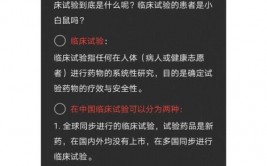 区块链技能出资远景,区块链技能出资远景剖析