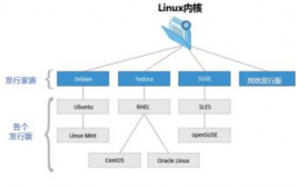 Linux体系分类,Linux体系概述