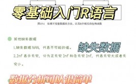 r言语编程根底,R言语编程根底入门攻略