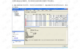 大数据疑难问题及处理计划