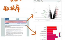 geo数据库,地舆信息系统的中心柱石