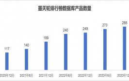 我国数据库,我国数据库商场的兴起与开展趋势