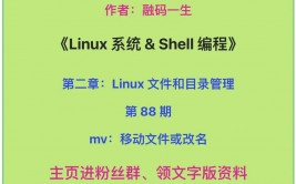 linux文件重命名指令