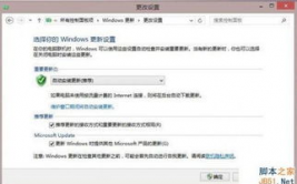 windows更新有必要吗,必要性与重要性