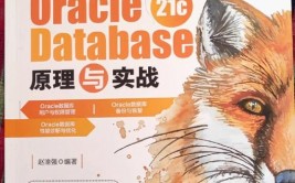 检查oracle,从根底到高档运用