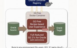 oracle 免费版,企业级数据库的入门挑选