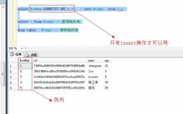 mysql伪列, 伪列概述