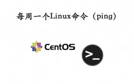 linux装置wget,查看Wget是否已装置