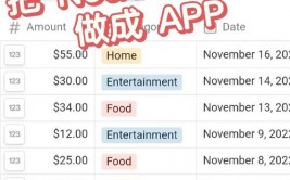 app数据库,原理、运用与优化