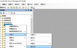 sql server附加数据库,轻松将数据库文件增加到现有实例