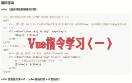 vue常用指令,Vue常用指令详解